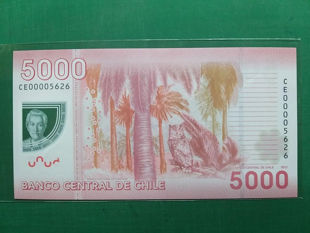 2009年{美洲}智利5000比索塑膠鈔女詩人CE00005626全新直版UNC級, 興趣及遊戲, 收藏品及紀念品, 錢幣- Carousell