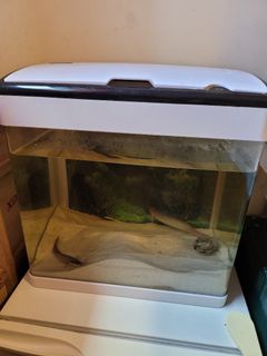 (Category: ) located in . Submitted by s.zhang (Listing ID 1136521800, Image 1). Description: .