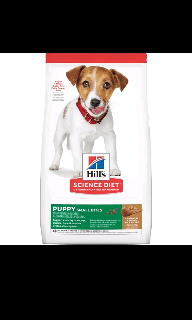 Science diet puppy lamb and rice best sale