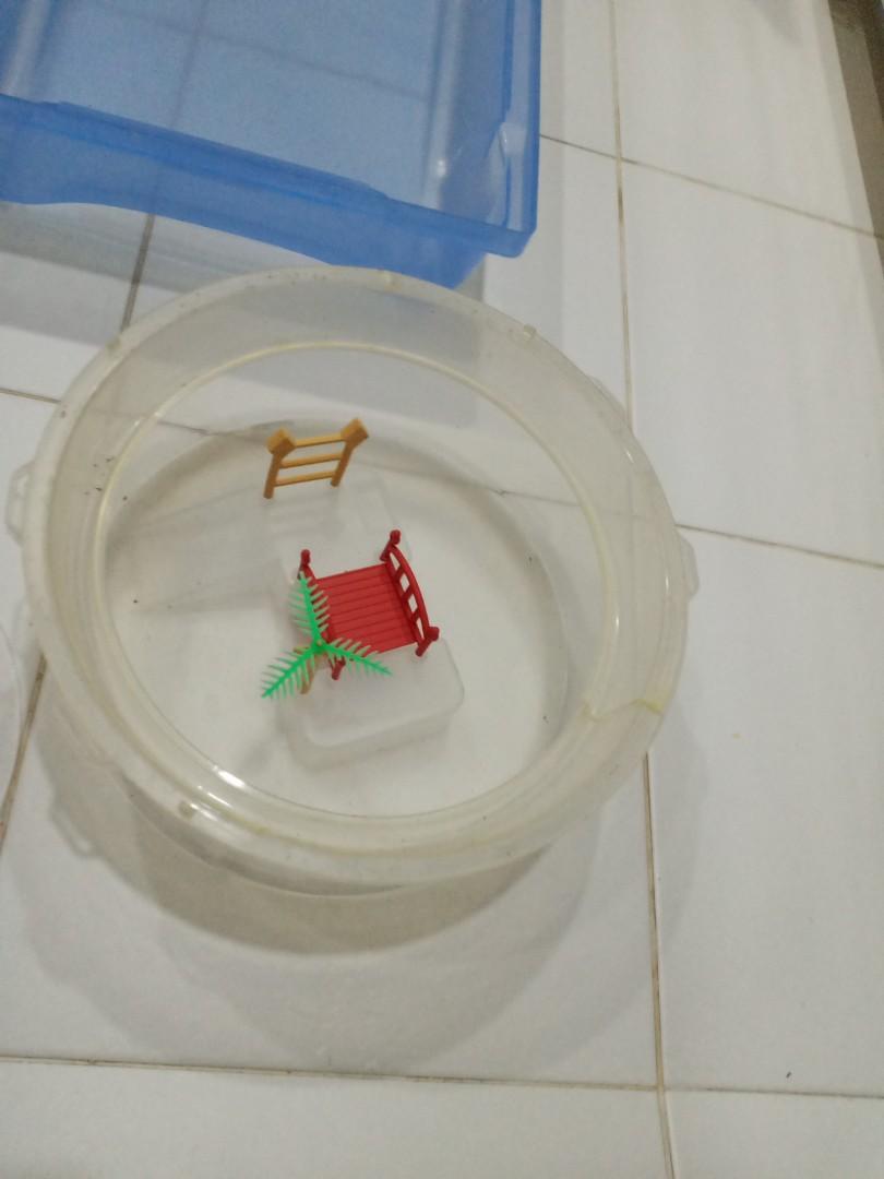 Terrapin house, Pet Supplies, Homes & Other Pet Accessories on Carousell