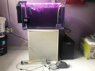 (Category: ) located in . Submitted by howsitgoingmate (Listing ID 1136560496, Image 1). Description: .