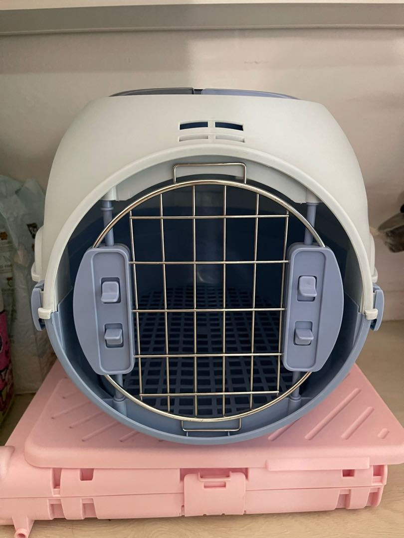 Cat Carrier, Pet Supplies, Homes & Other Pet Accessories on Carousell