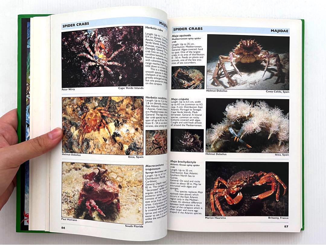 洋書 CRUSTACEA Guide Of The World 71CIbSImOPL.jpg_BO30,255,255,