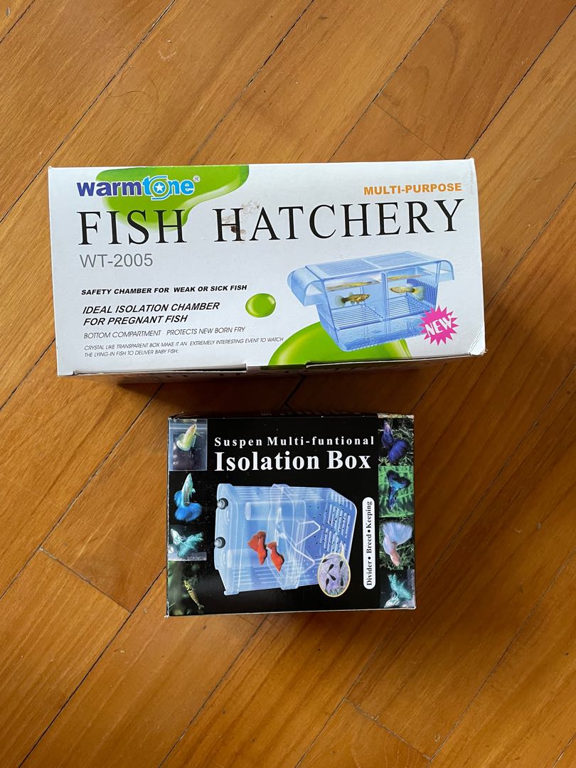 Fish hatchery / breeding box, Pet Supplies, Homes & Other Pet