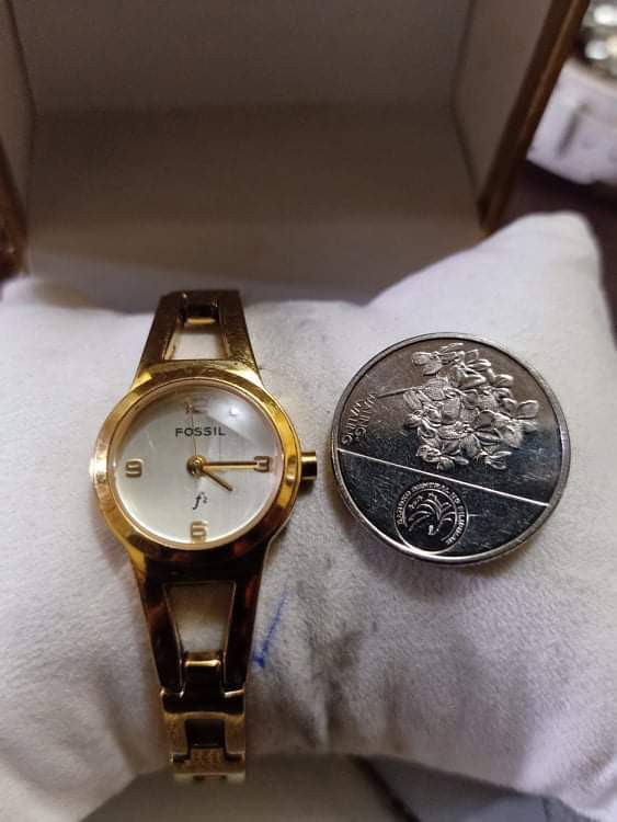 Fossil petite watch, Women's Fashion 
