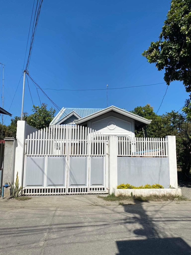 House and Lot (San Isidro, Nueva Ecija), Property, For Sale, House