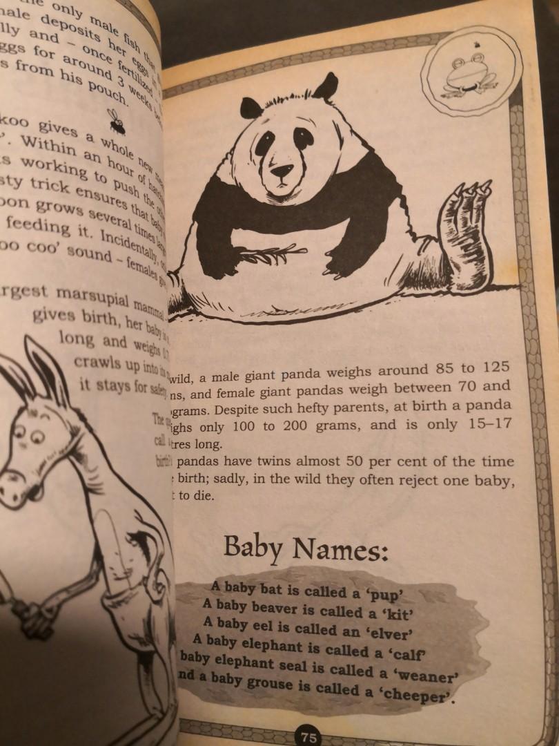 Know it all （分類：兒童書籍）位於 Hong Kong。 由 banyankato 提交（商品編號 1136810652，圖片 3）。簡介： 。