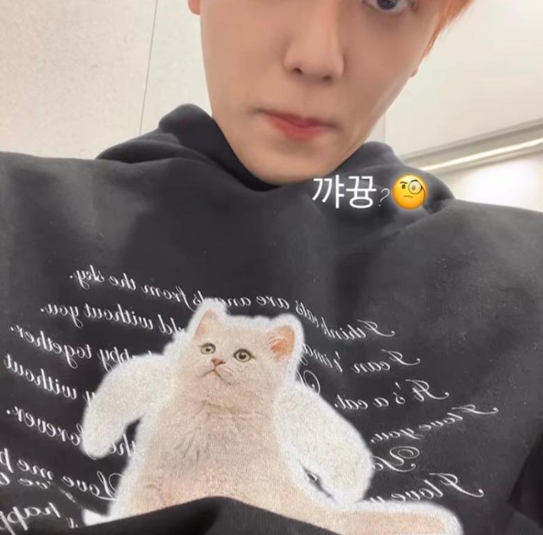 NCT JENO AND JAEMIN ITZAVIBE CAT HOODIE, Hobbies & Toys