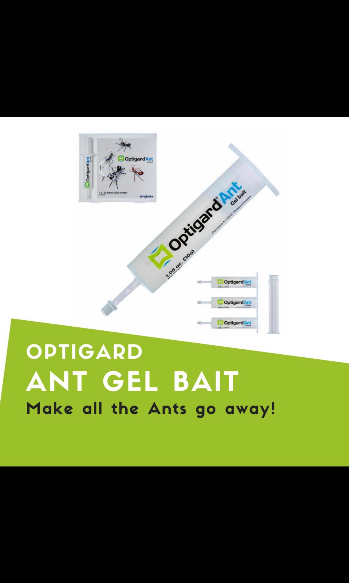 Optigard Ant Gel Bait, Furniture & Home Living, Cleaning ...