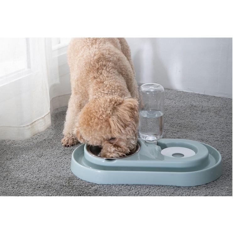 automatic dog feeder bunnings