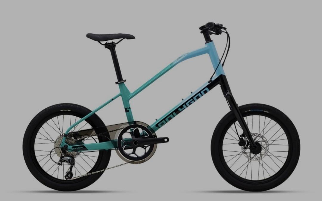 Polygon Zeta 2 SG Christmas Edition Minivelo 20 Bike
