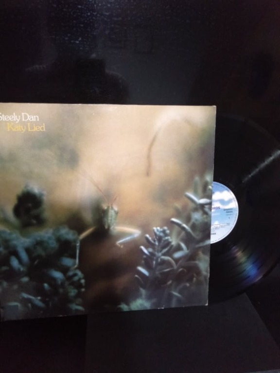 Steely Dan / Katy Lied Vinyl Records, Hobbies & Toys, Music & Media