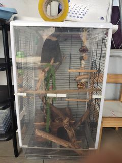(Category: ) located in . Submitted by mimie5853 (Listing ID 1136776319, Image 1). Description: .