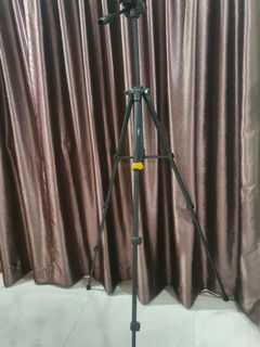 (Category: ) located in . Submitted by ajitpalang (Listing ID 1136722053, Image 1). Description: .