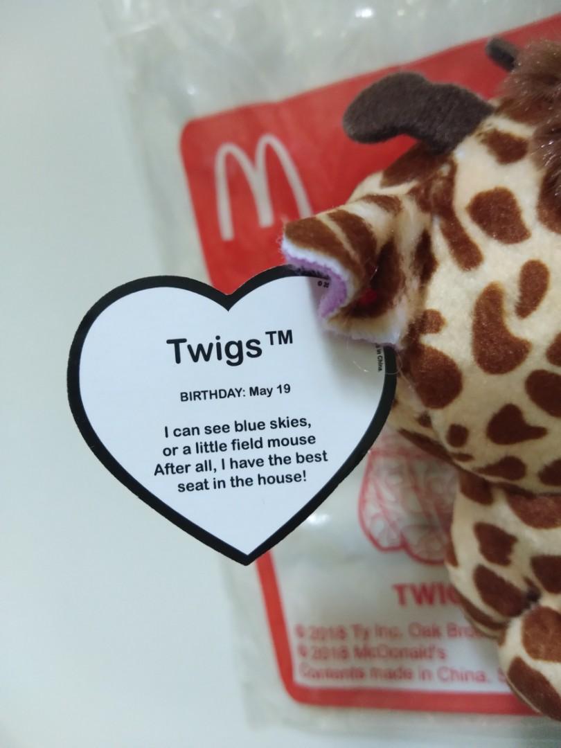 Twigs beanie boo store birthday