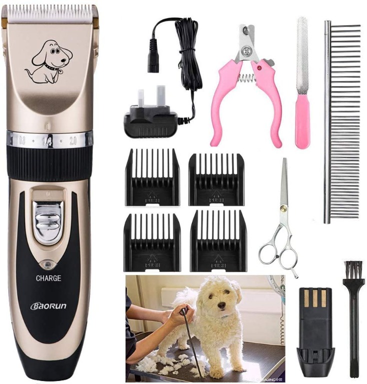 Baorun professional hair clipper online
