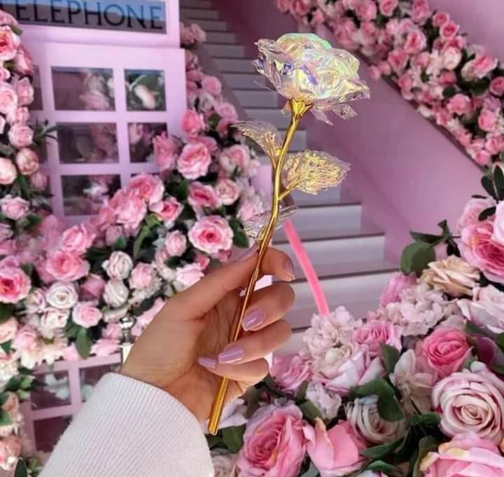 galaxy rose (Category: Gift Baskets & Hampers) located in Manila. Submitted by saguittarian06 (Listing ID 1136869651, Image 2). Description: Galaxy rose 24k rose 200 pesos only Gift for valentines day With light With box With paper bag click for more items https://www.facebook.com/roma.dellera.