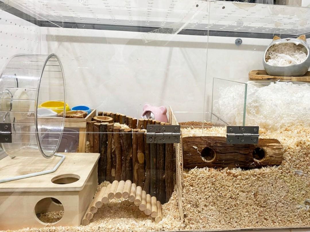 Hamster hotel cage 2025