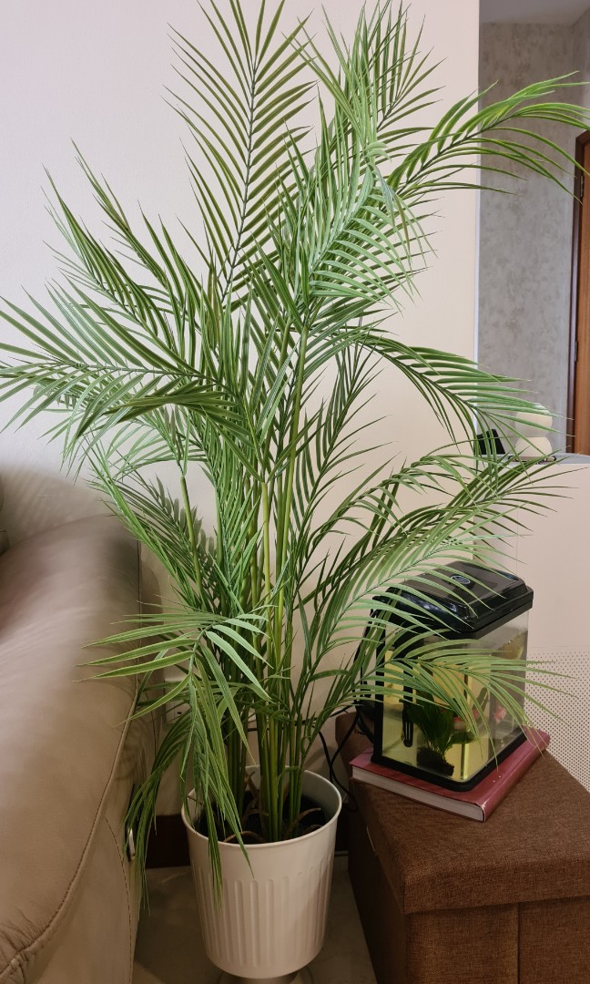 Ikea fake potted plant, Furniture & Home Living, Home Decor, Artificial