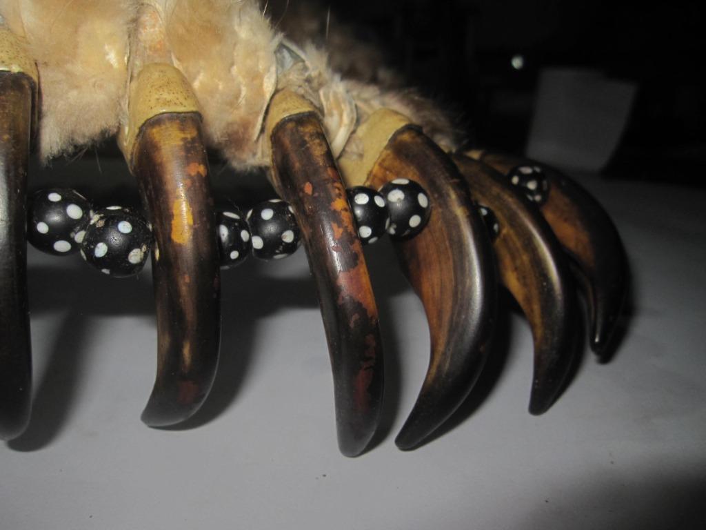 Echoes of the Star Nation: Navigating the Sacred Landscapes of the Pawnee