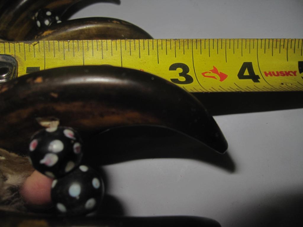 Echoes of the Star Nation: Navigating the Sacred Landscapes of the Pawnee