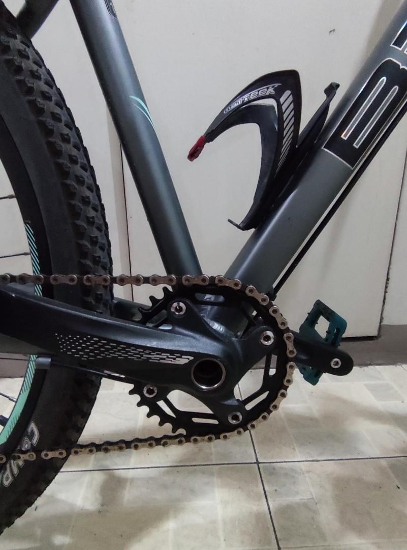 betta veil tail 29er