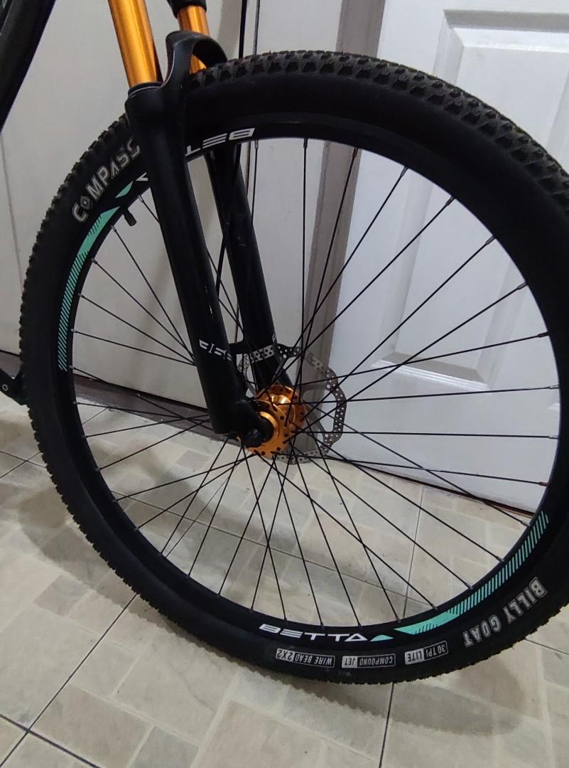 betta veil tail 29er