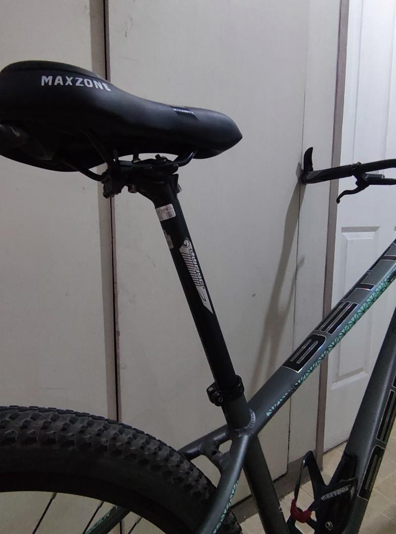 betta dumbo tail 29er