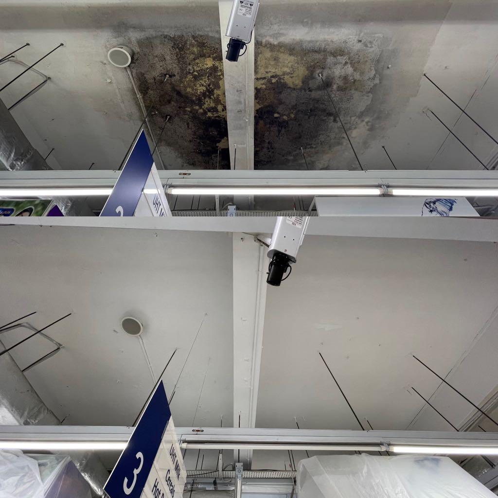 Prevent Worried About Mould Returning? ERSTOMOULD Paint Prevents Mould with a Long-Lasting Shield!Mould in Damp & Humid Rooms – ERSTOMOULD Keeps Walls & Ceilings Clean!62853068341762112