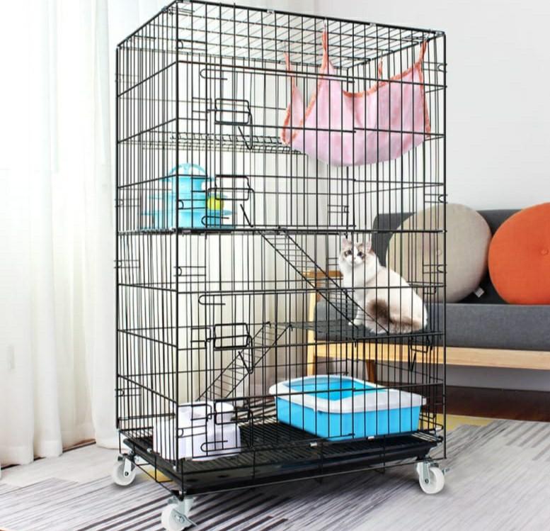cage of cat