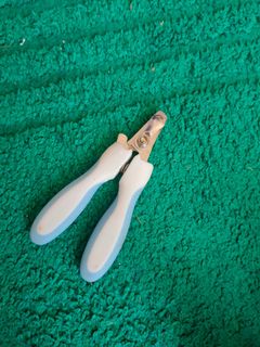 (Category: ) located in . Submitted by nurrsa (Listing ID 1137125671, Image 1). Description: .