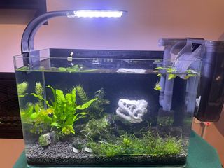 (Category: ) located in . Submitted by kaykor (Listing ID 1137115640, Image 1). Description: .