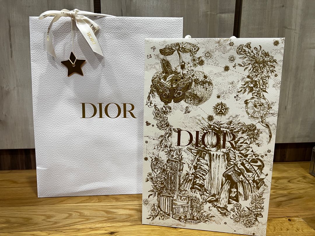 Big Dior Paper Bag Luxury Bags  Wallets on Carousell