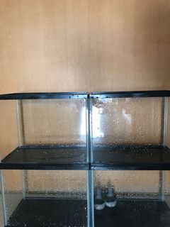 (Category: ) located in . Submitted by harry1988 (Listing ID 1137164342, Image 1). Description: .