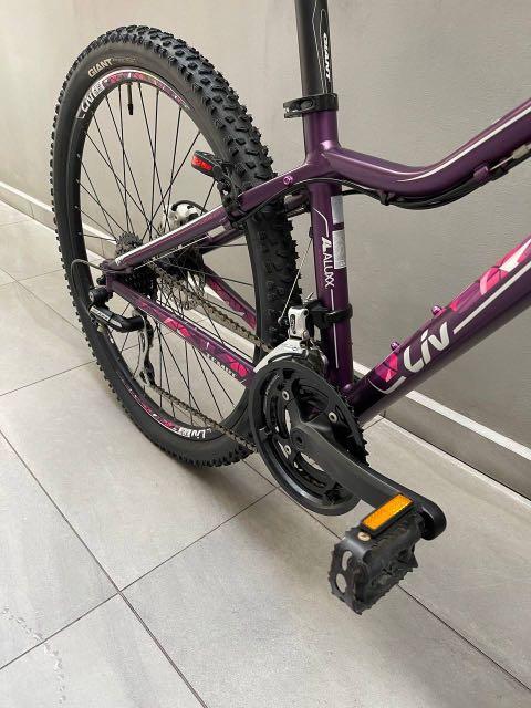 Purple giant bike store