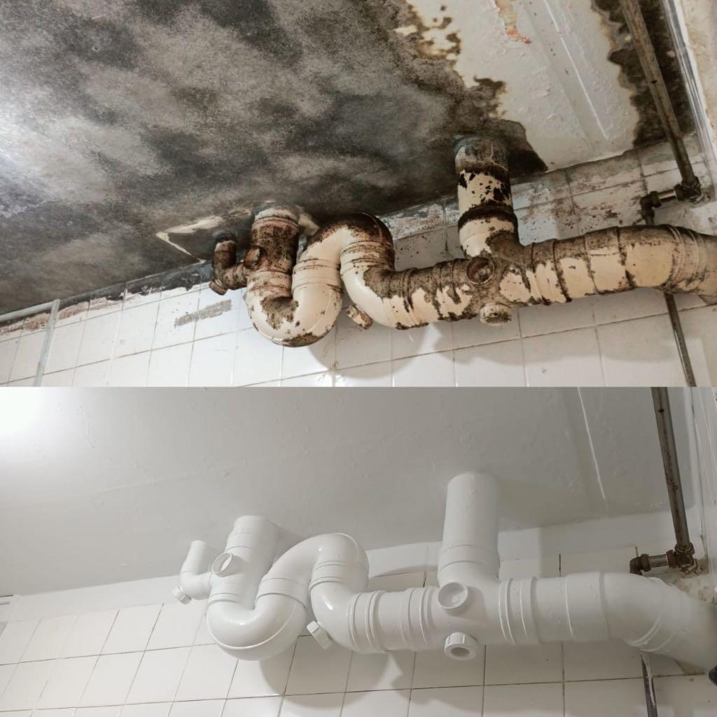 Best Anti-Mould Paint for Walls? ERSTOMOULD Stops Mould & Fungus Growth for Years!62853066748803110