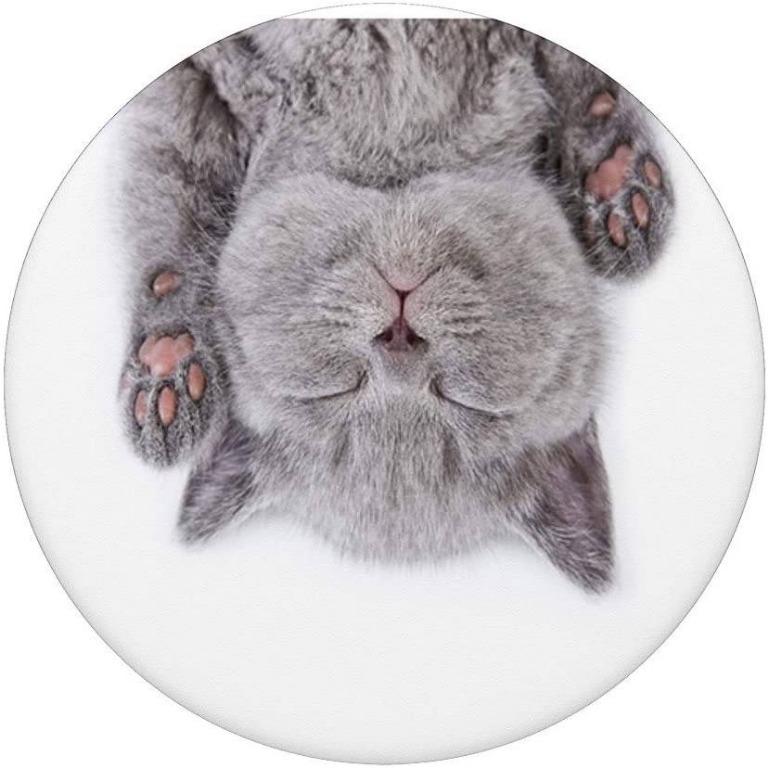 Popsockets Grip with Swappable Top for Cell Phones, PopGrip Cat Nap 