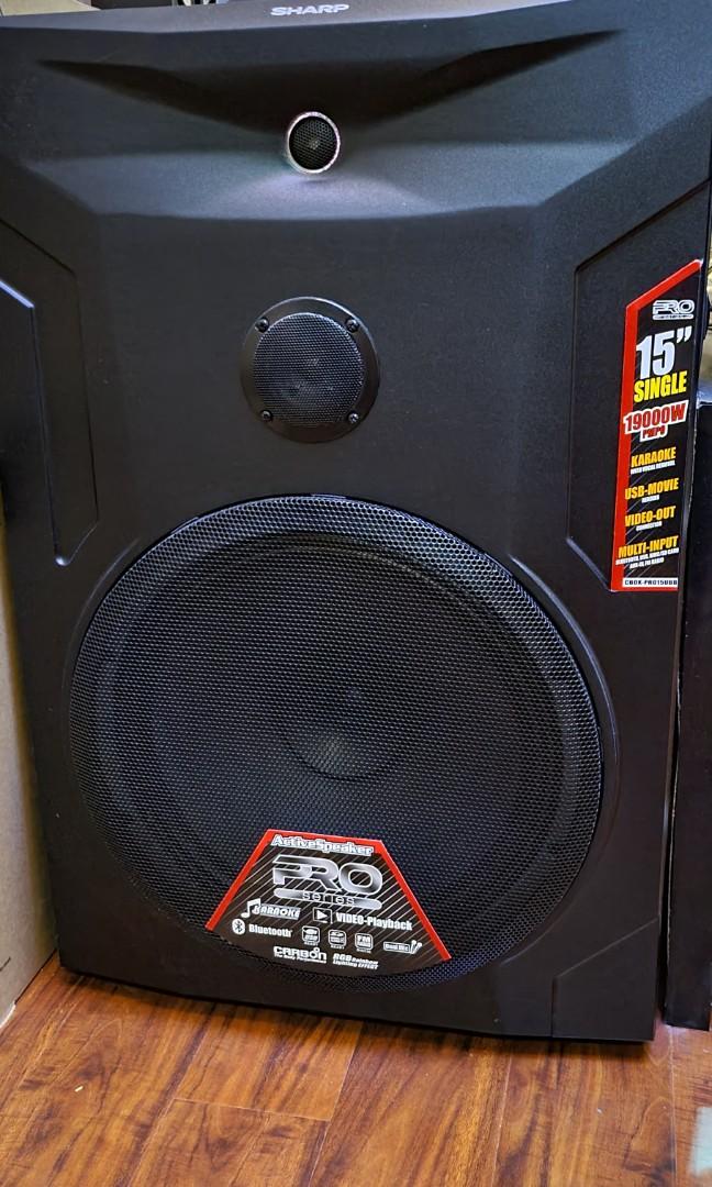 Speaker sharp store 15 inch