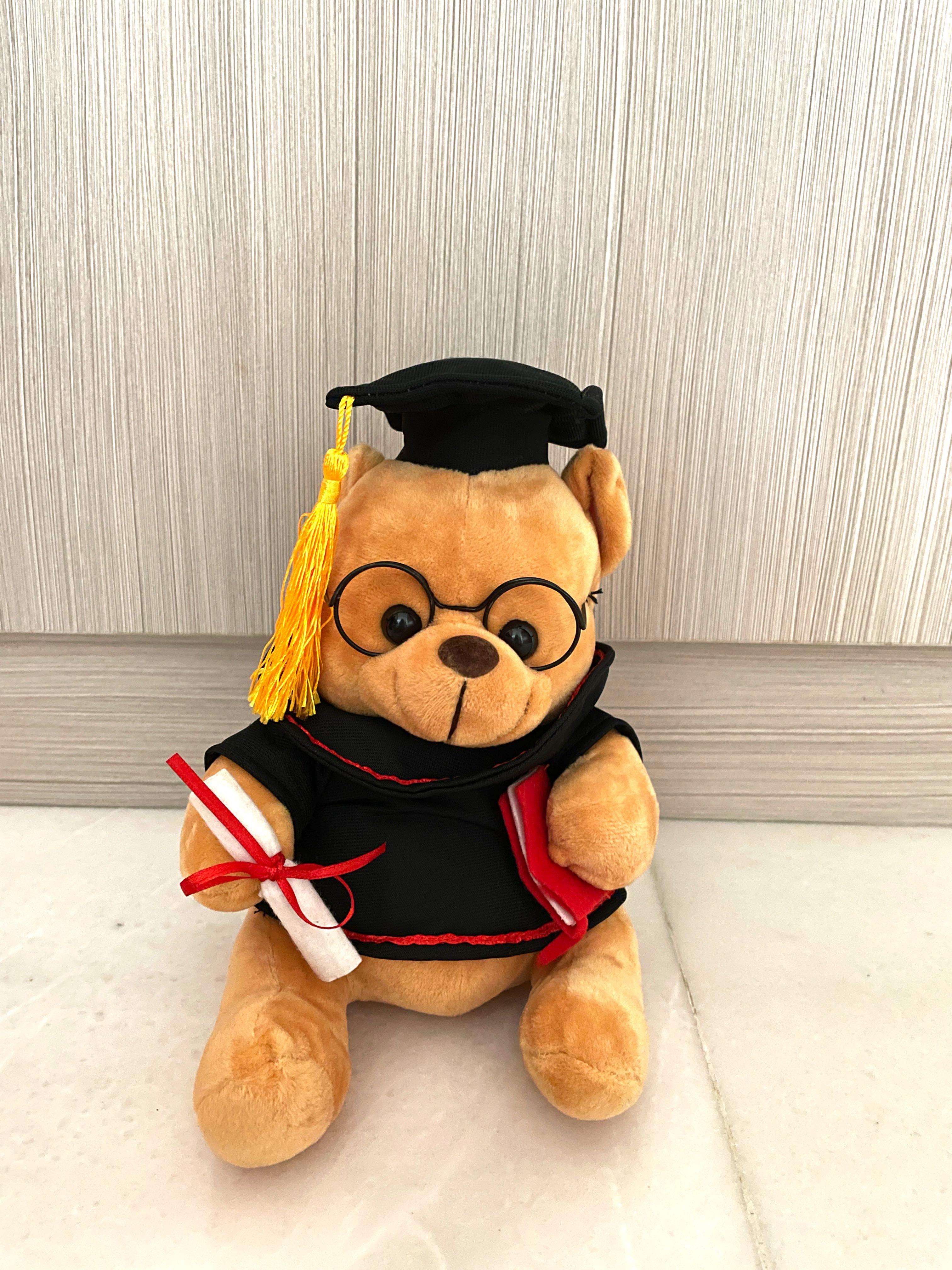 Soft Toy Graduation Bear for gift, Hobbies & Toys, Toys & Games on