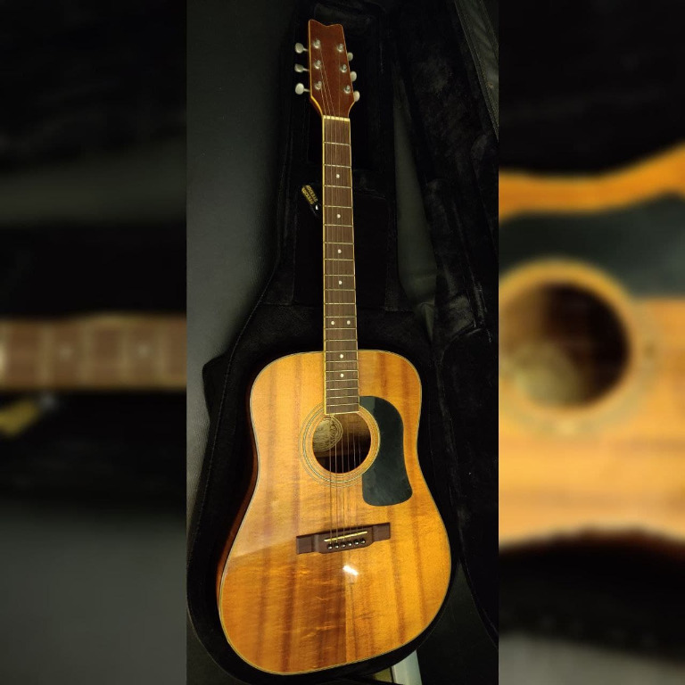 Washburn D20 acoustic guitar, Hobbies & Toys, Music & Media, Musical