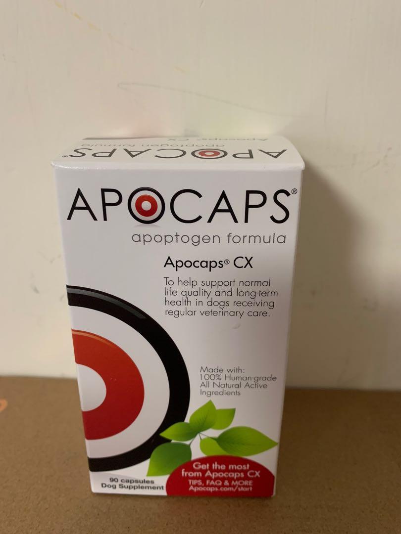 Apocaps for dogs shop