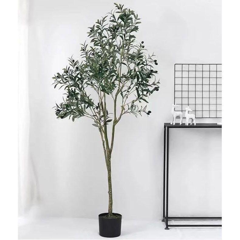 OLIVE TREE, Furniture & Home Living, Home Decor, Artificial Plants