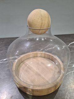 Beautiful Glass Terrarium Container with wooden base