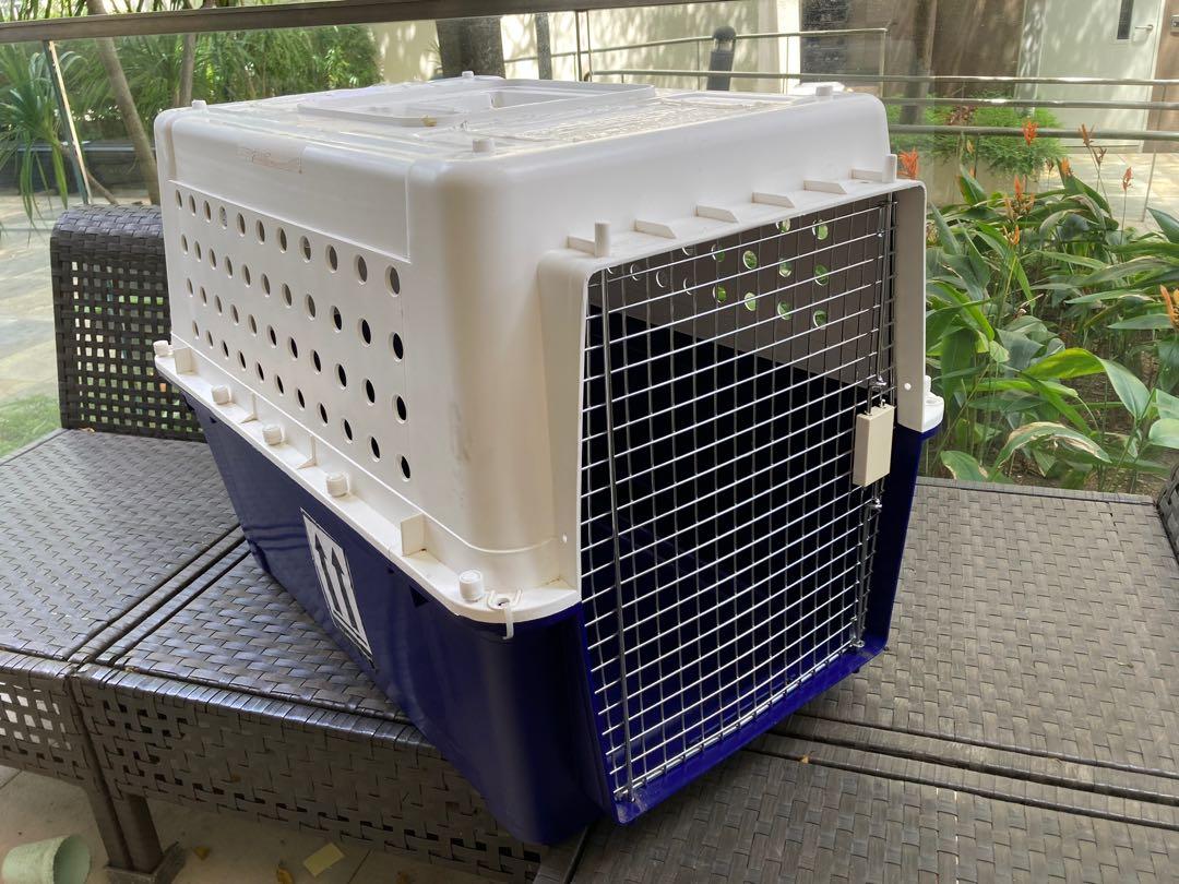 Pp50 dog hot sale crate size