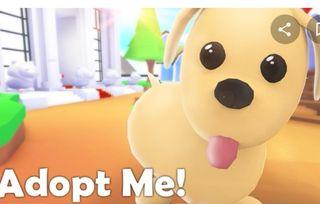 lf specific pets for pet sim x items(Read disc)