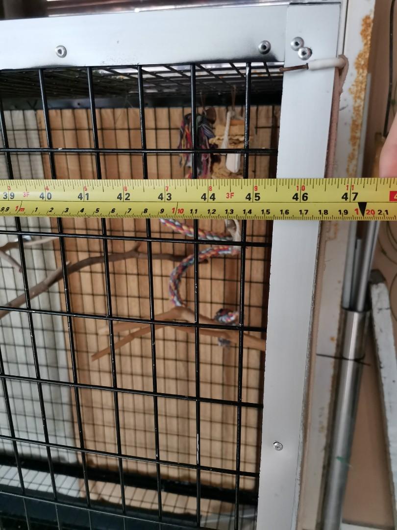 Sangka kuching Bird Cage dog Cage, Pet Supplies, Homes & Other Pet Accessories on Carousell