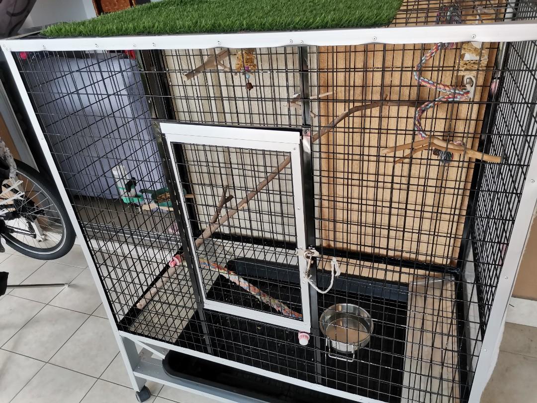 Sangka kuching Bird Cage dog Cage, Pet Supplies, Homes & Other Pet Accessories on Carousell