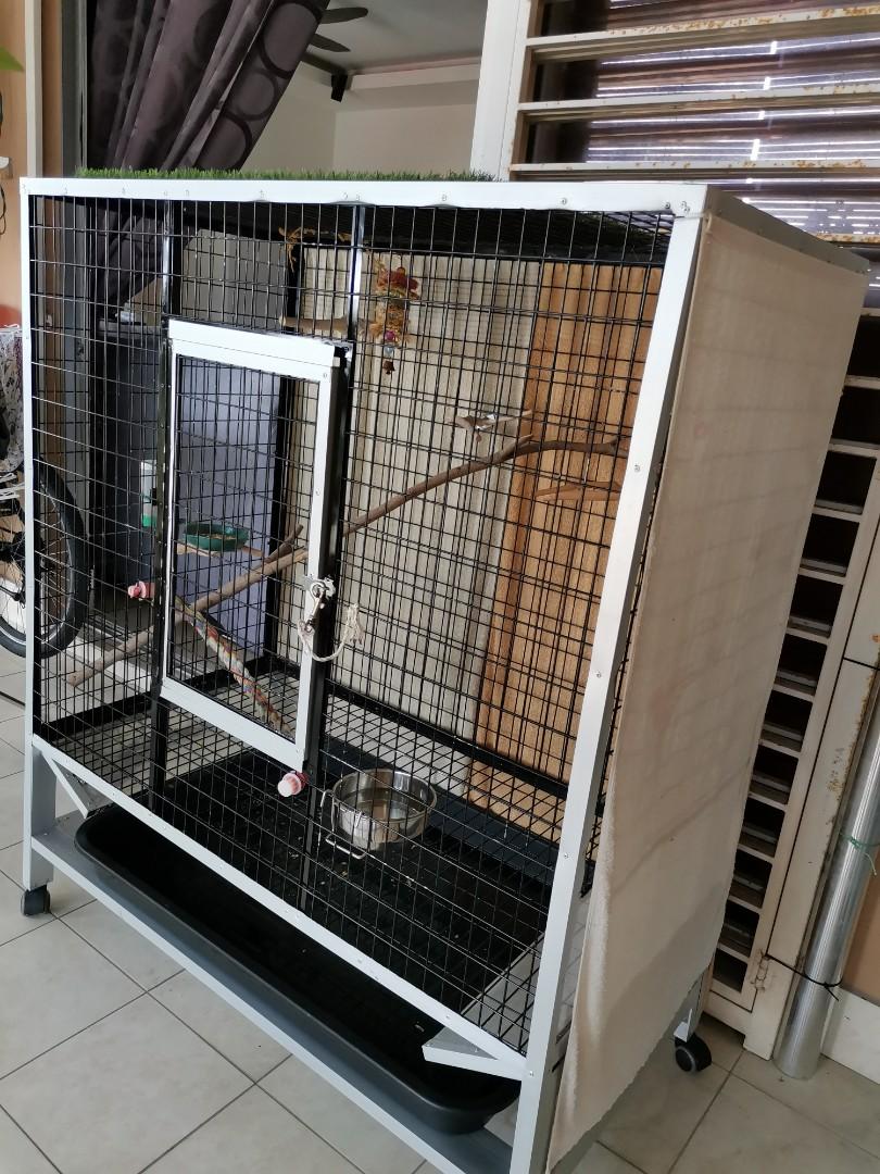 Sangka kuching Bird Cage dog Cage, Pet Supplies, Homes & Other Pet Accessories on Carousell