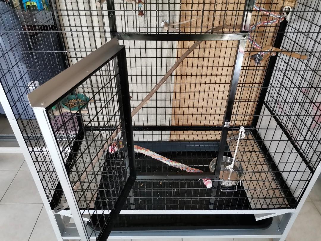 Sangka kuching Bird Cage dog Cage, Pet Supplies, Homes & Other Pet Accessories on Carousell