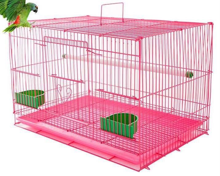 parrot pinjra online